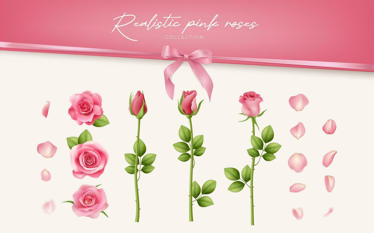 en realistisk vektor samling av rosa ro och kronblad, isolerat på vit. perfekt för romantisk tillfällen tycka om bröllop och årsdagar. detaljerad illustration för kort och dekorationer. inte ai.
