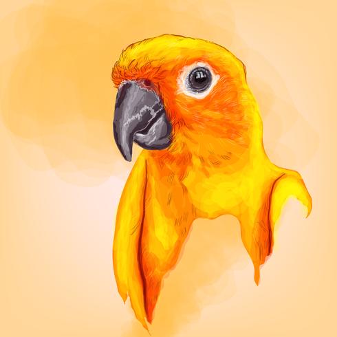 bunter Papagei mit Handzeichnung vektor