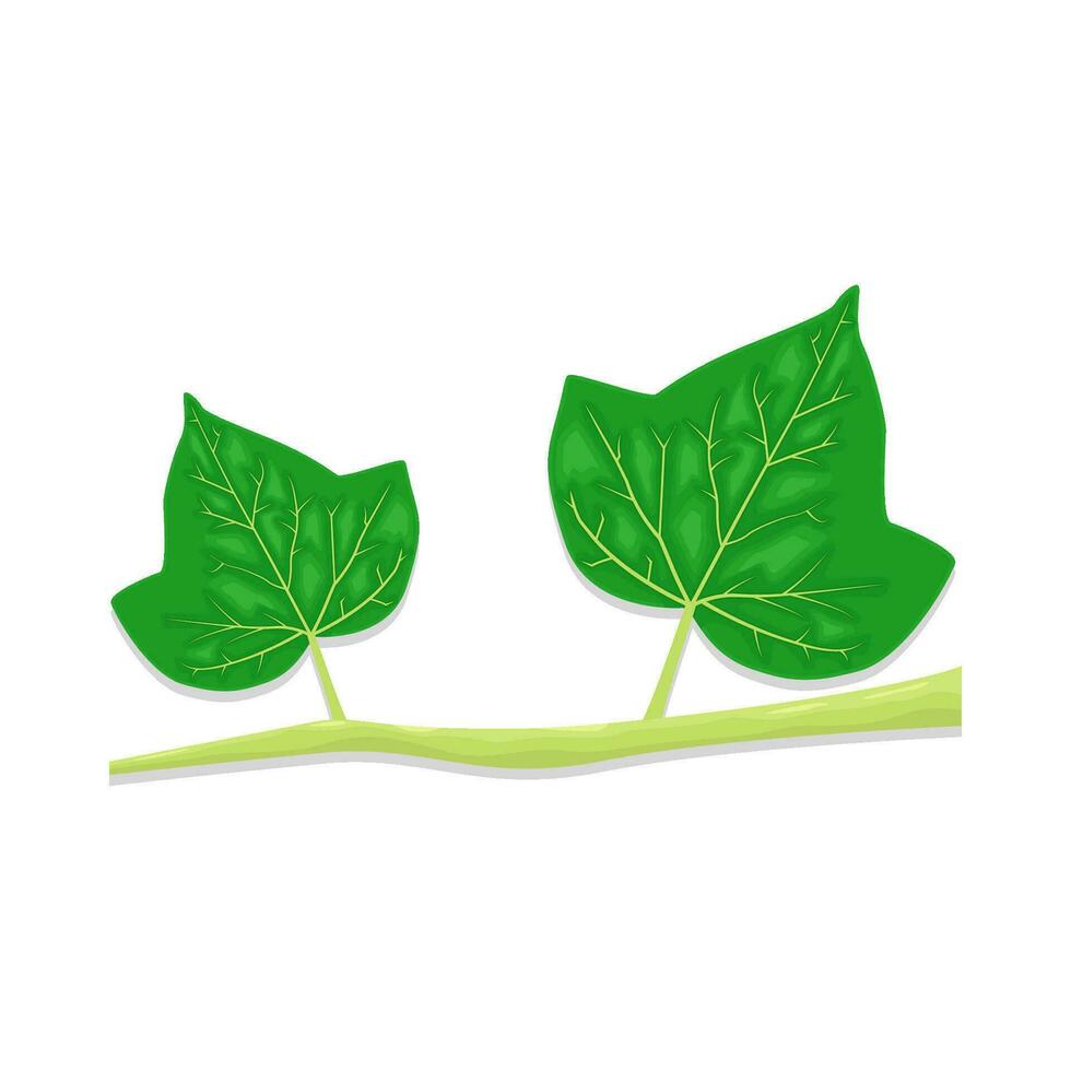 Blatt Grün Pflanze Illustration vektor