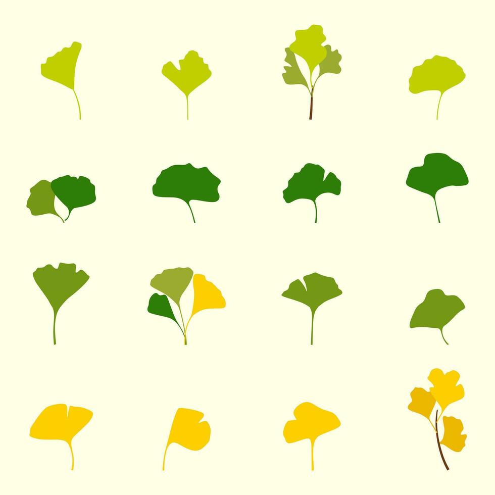 tecknad serie platt grön och gul gingko biloba löv. natur eco organisk ikon vektor