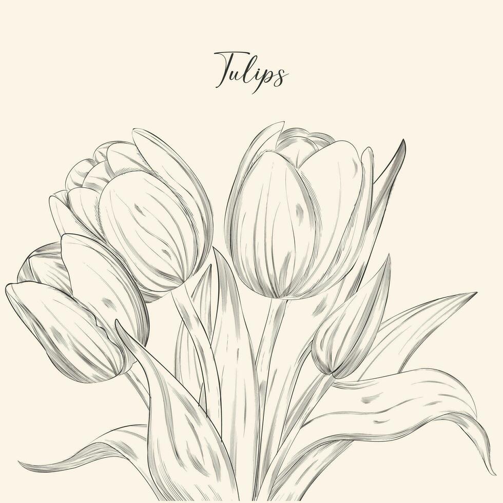 Hand gezeichnet einstellen von Tulpen Geäst. Blume isoliert auf Weiß Hintergrund. Jahrgang Vektor Illustration.