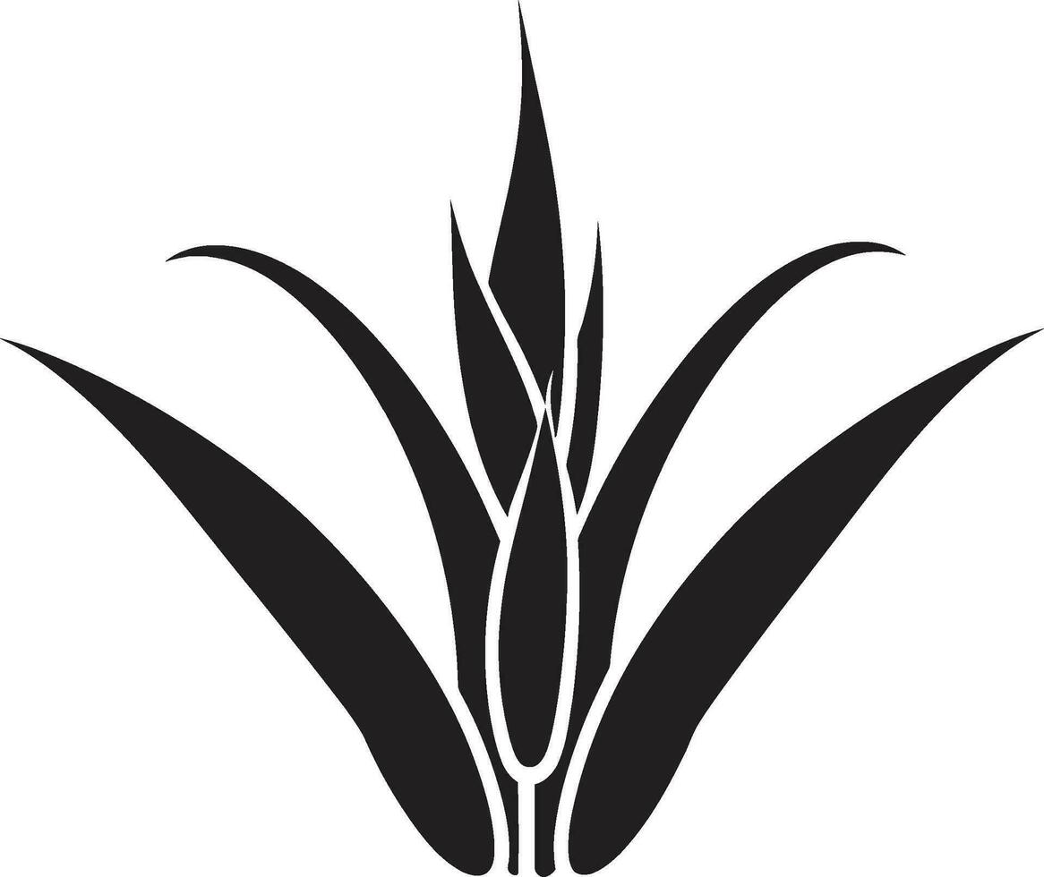 Kräuter- Harmonie Aloe schwarz Logo Kennzeichen Natur s berühren Vektor Aloe Pflanze Emblem