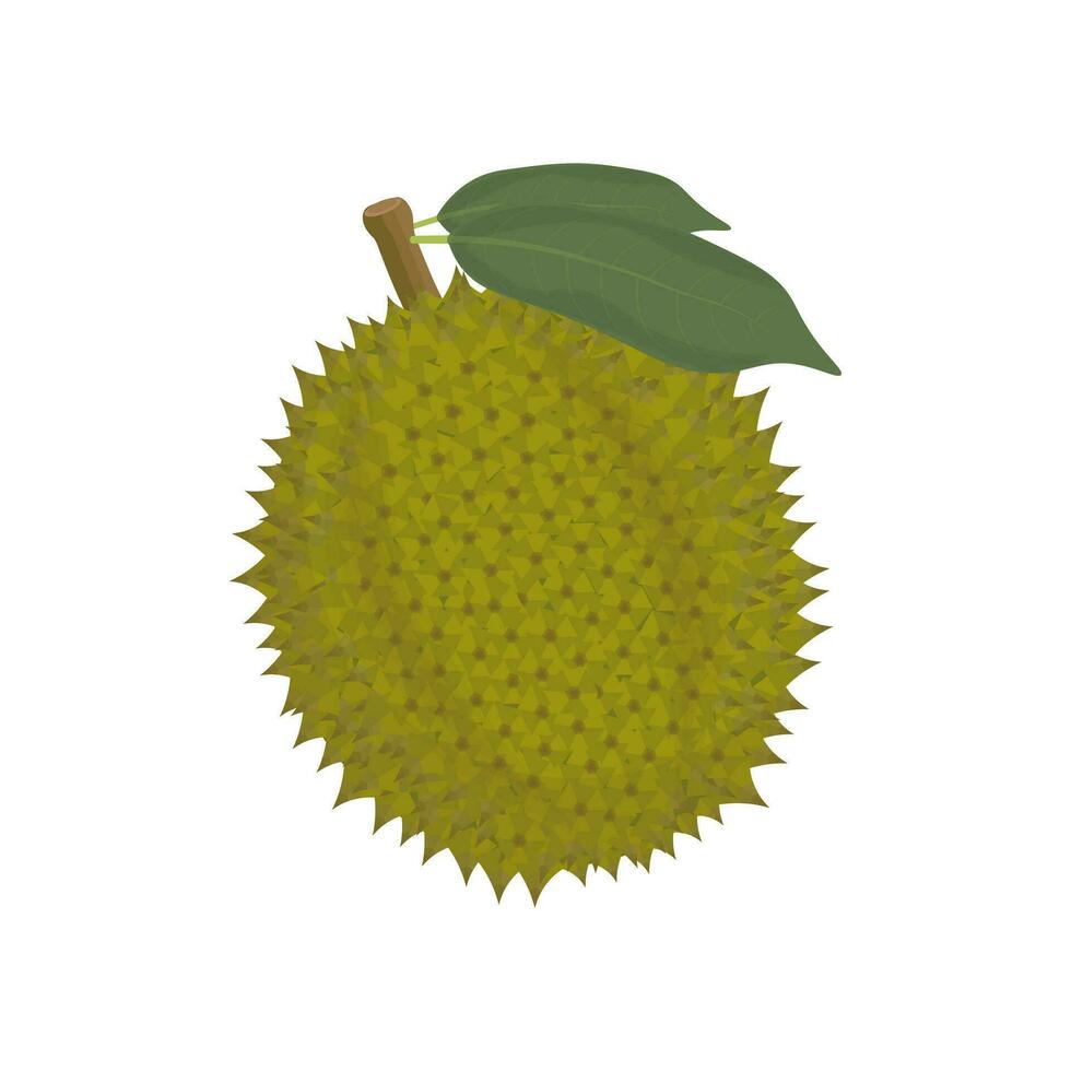 Durian Obst isoliert Vektor Illustration Logo