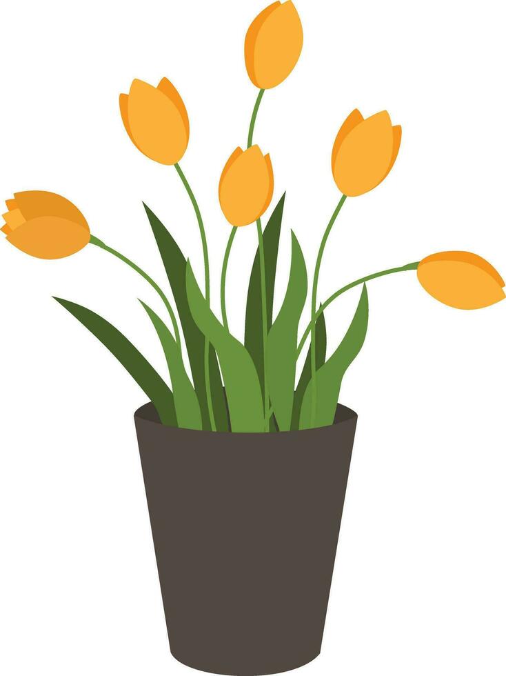 Vektor Illustration von Gelb Tulpen Strauß im grau Vase