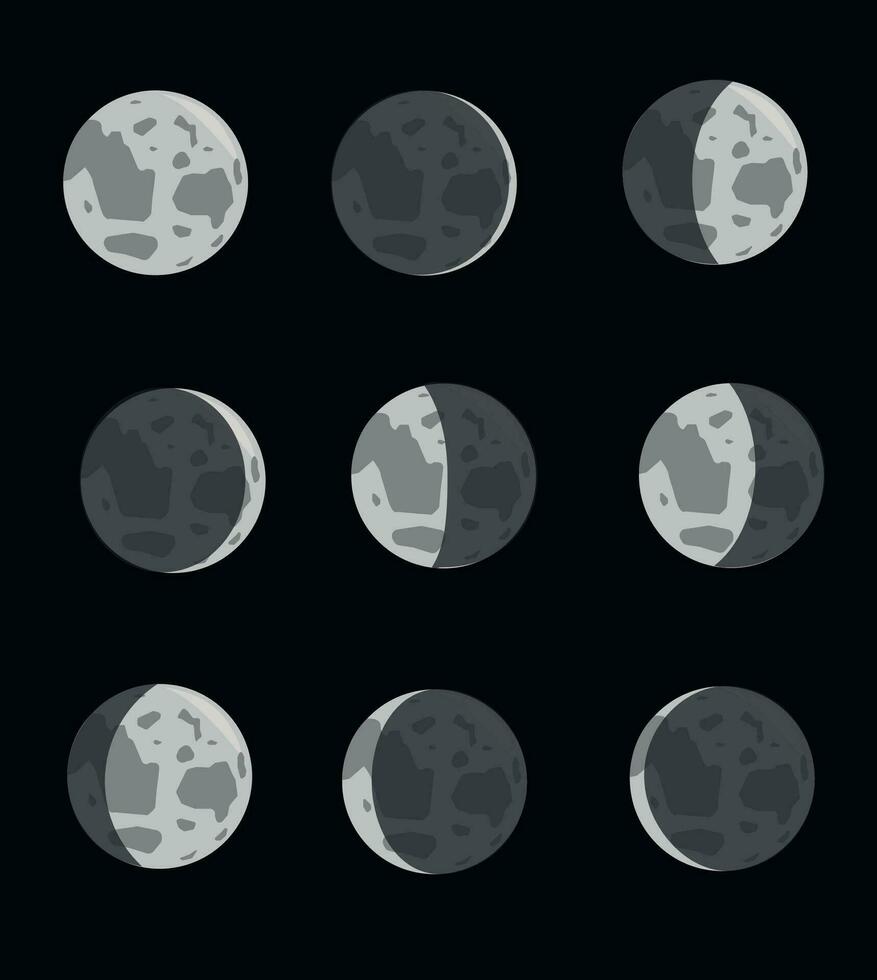 måne faser vektor. lunar kalender. lunar faser vektor illustration