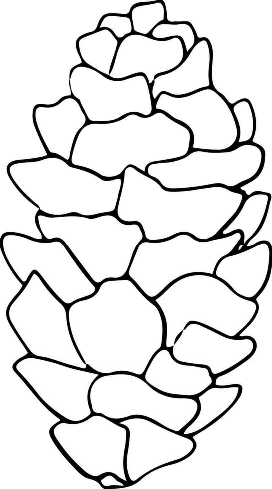 linje konst tall kottar. bläck grafisk kvist av barrträd vintergröna träd. hand målad översikt botanisk illustration för jul hälsningar, kort, tapeter, inbjudan vektor