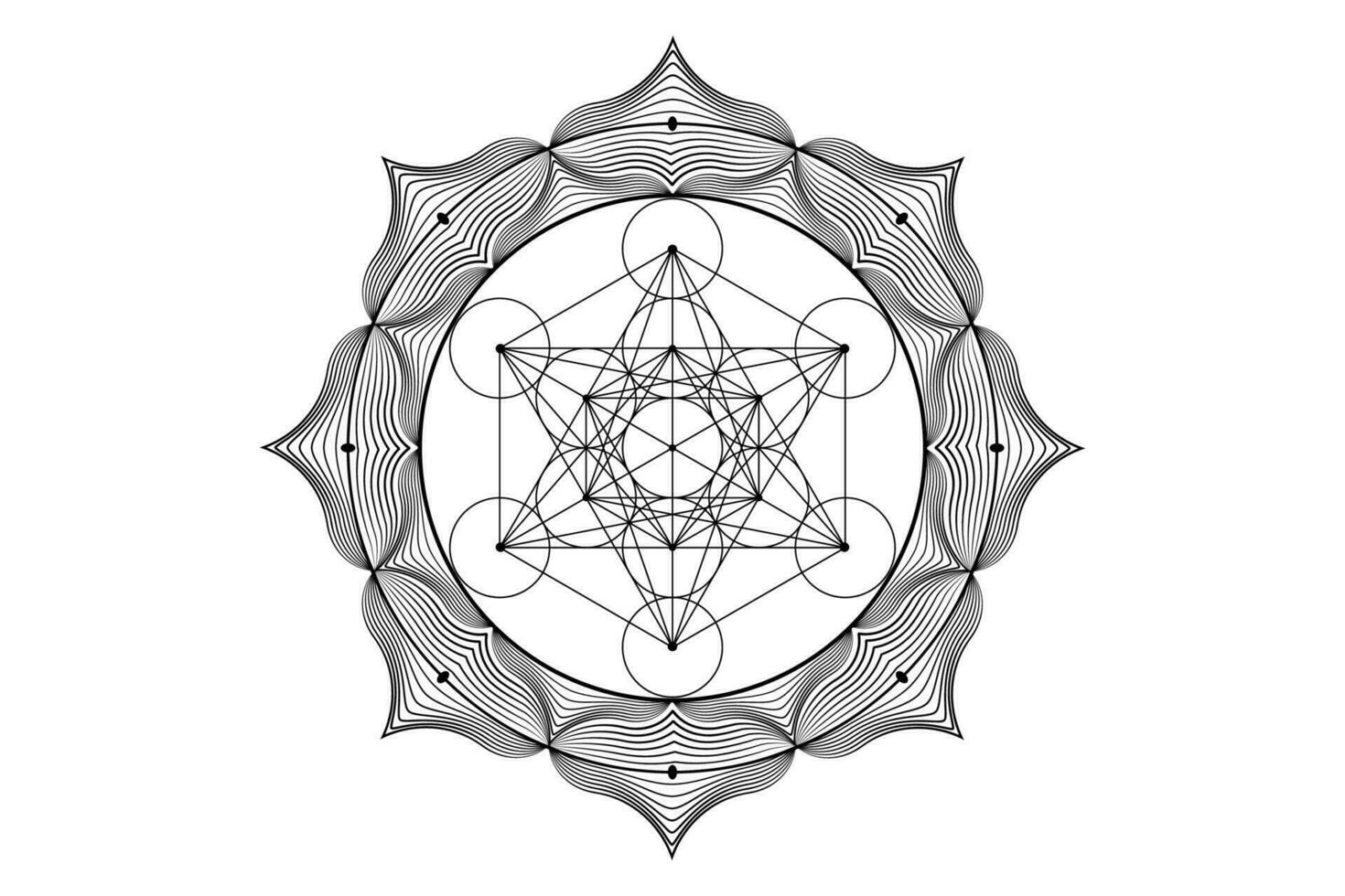 heilig Mandala von Metatronen Würfel, mystisch Blume von Leben. heilig Geometrie, Grafik Element Vektor isoliert Illustration. Mystiker Symbol platonisch Feststoffe, abstrakt geometrisch Zeichnung, typisch Ernte Kreise