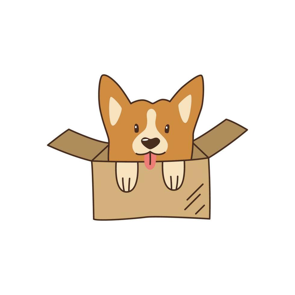 süß wenig Corgi im ein Karton Kasten. Schutz ein Haustier. kawaii Vektor Illustration.