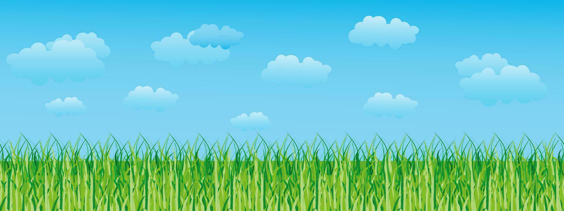 Sommer, Frühling Landschaft, Grün Feld und wolkig Himmel. nahtlos Grenze, Landschaft Hintergrund, Illustration, Vektor