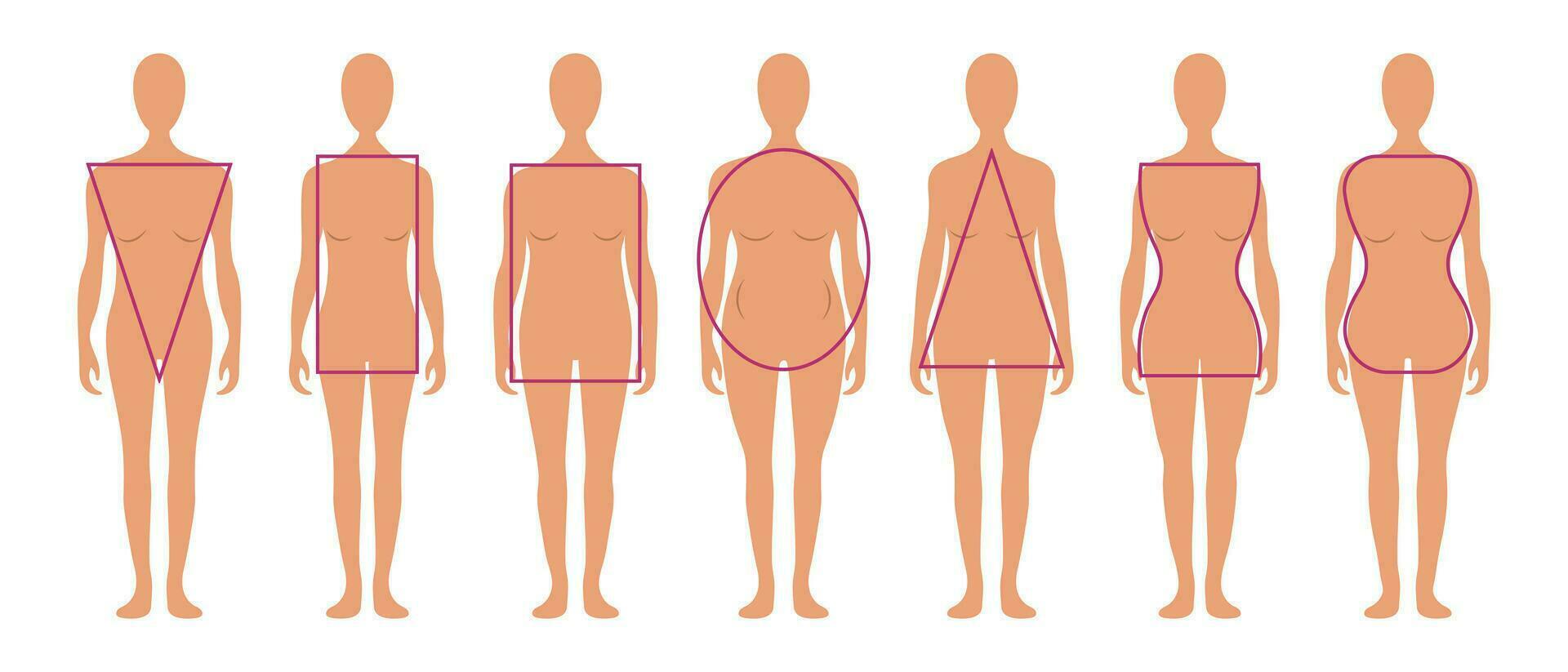 uppsättning av annorlunda typer av kvinna siffror. kvinna kropp typer med geometrisk former. vektor