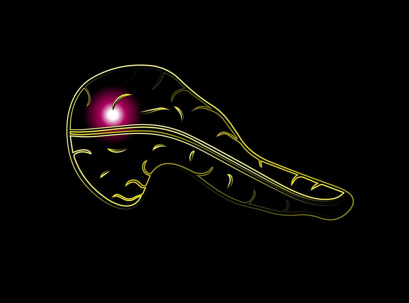 Vektor isoliert Illustration von Pankreas mit Neon- Wirkung. Bauchspeicheldrüse Schmerz. Bauchspeicheldrüse Krebs.