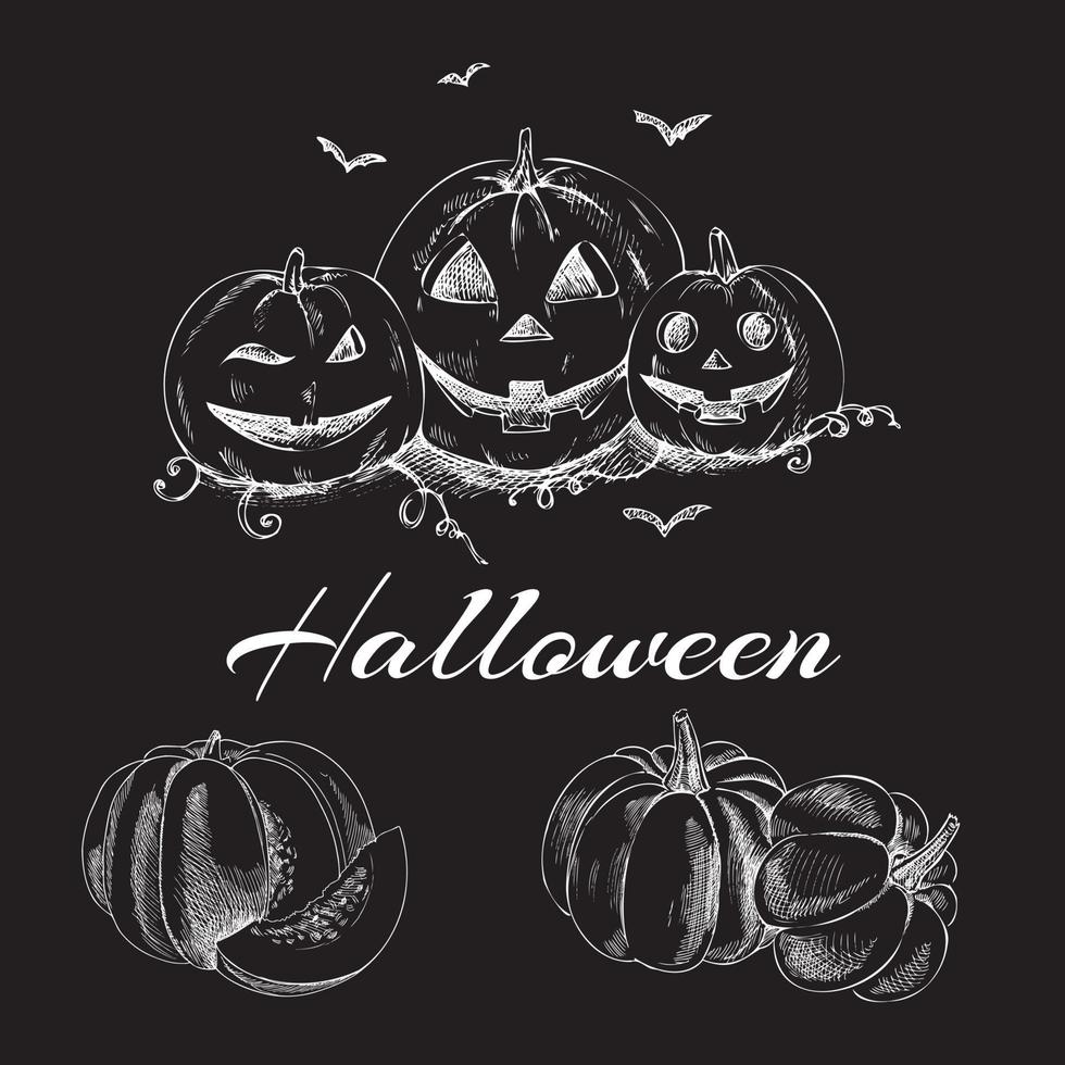 halloween handgjord illustration uppsättning vintage skisser på en svart svarta tavlan. pumpor skiss vektor illustration. höst kalebass skörd.