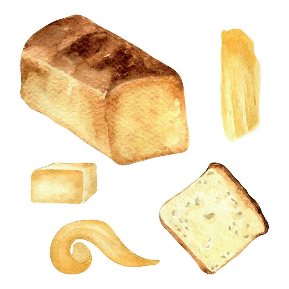 Toast Brot ganze und Scheibe Aquarell Illustration isoliert auf Weiß Hintergrund. Hand gezeichnet Scheibe von Brot und Butter einstellen zum Bäckerei Geschäft. gemalt frisch Brot Seite Sicht. Elemente zum Poster, Lebensmittelgeschäft vektor