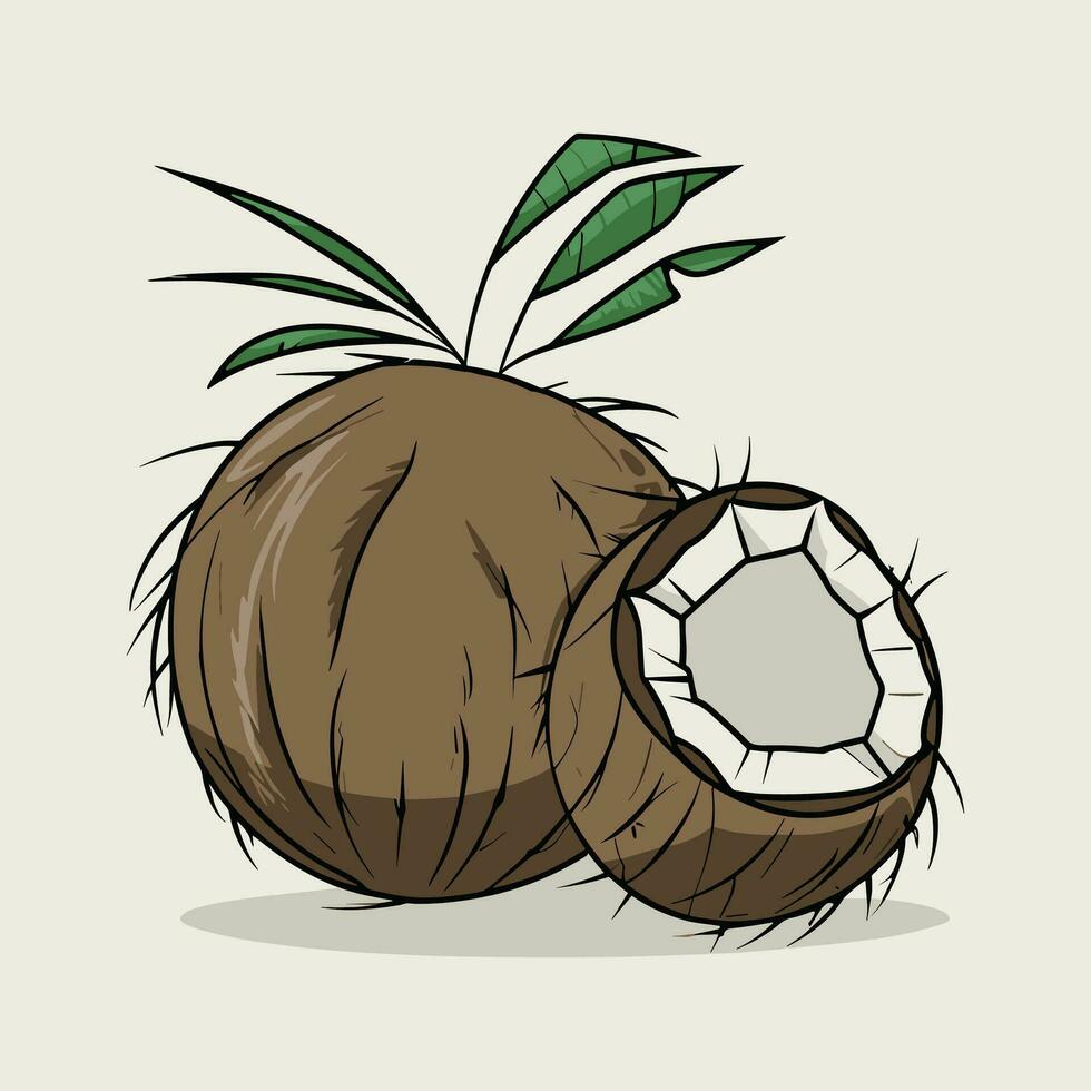 Kokosnuss Vektor Illustration
