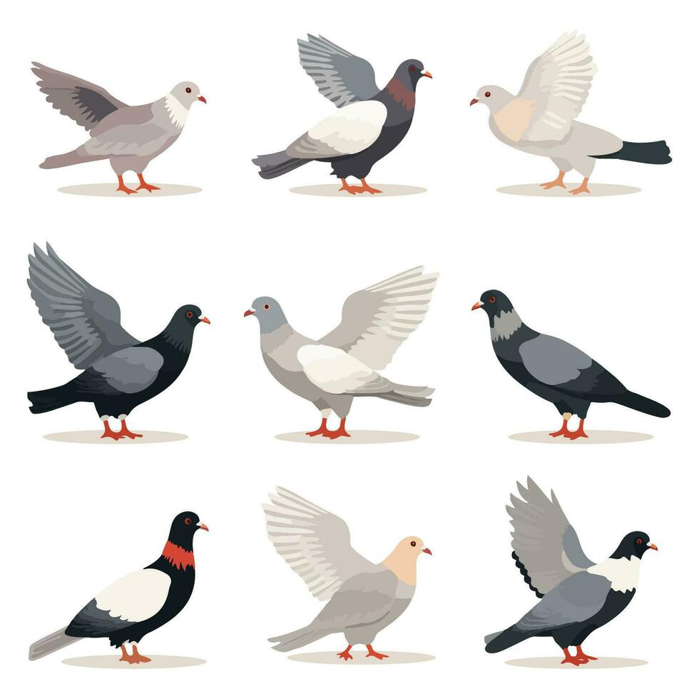 Karikatur einstellen von Taube Vogel fliegend und Sitzung. eben Karikatur Charakter Design. Vektor Illustration isoliert auf Weiß Hintergrund.