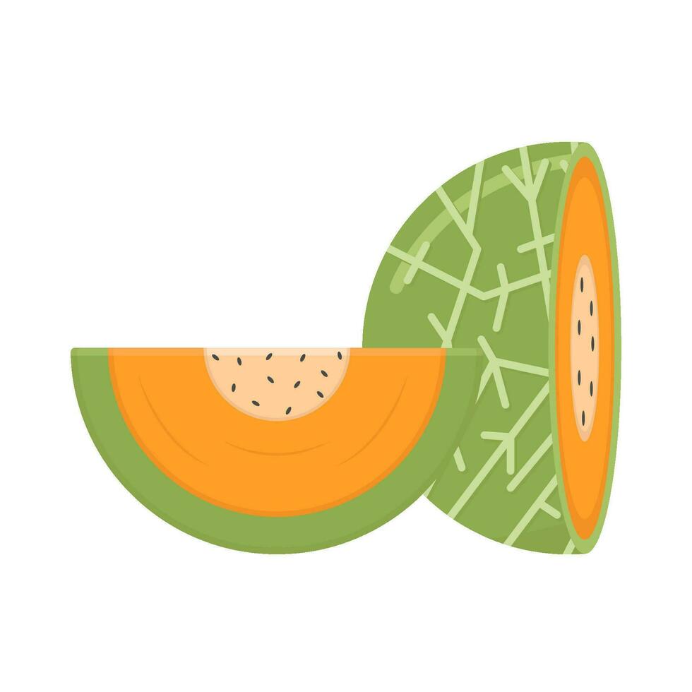 cantaloupmelon skiva illustration vektor