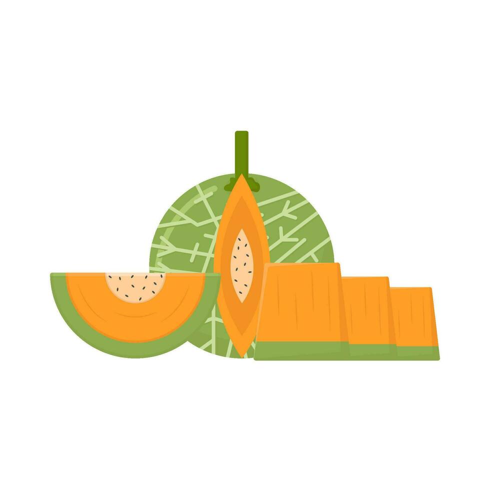Cantaloup-Melone Scheibe Illustration vektor
