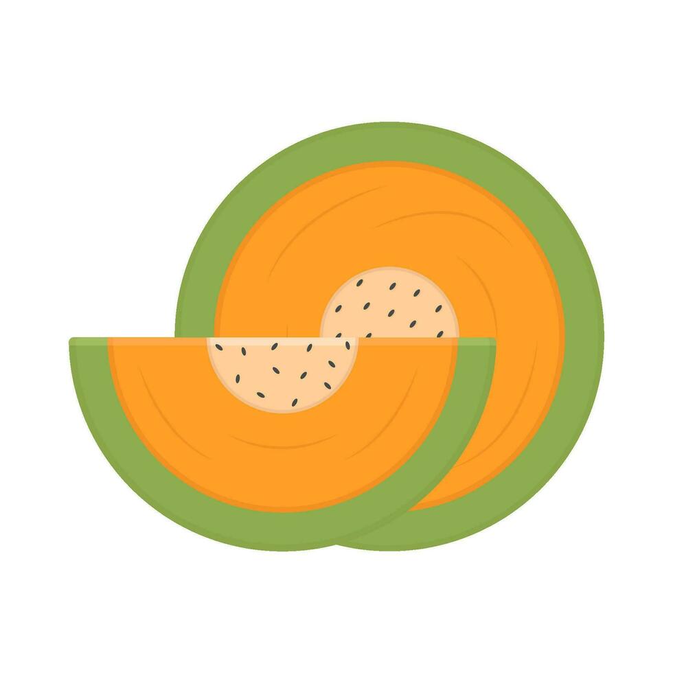cantaloupmelon skiva frukt illustration vektor