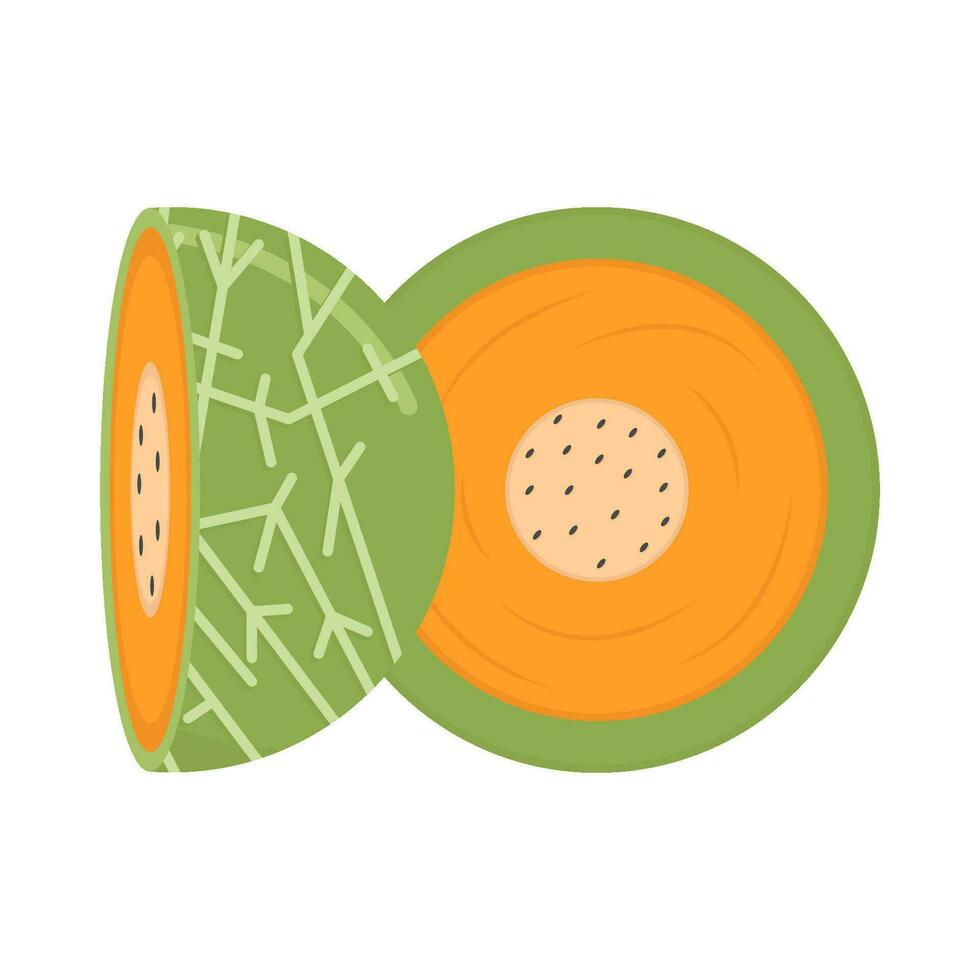 cantaloupmelon skiva frukt illustration vektor