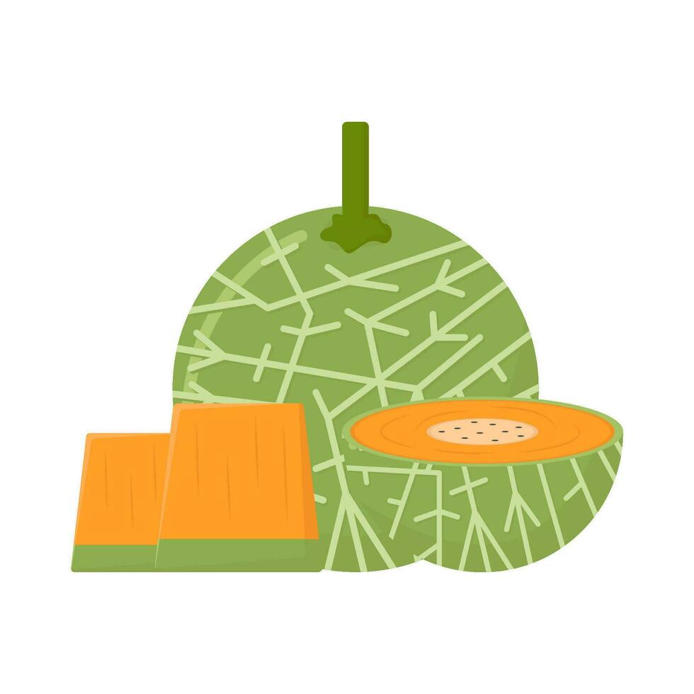Cantaloup-Melone mit Cantaloup-Melone Scheibe Illustration vektor