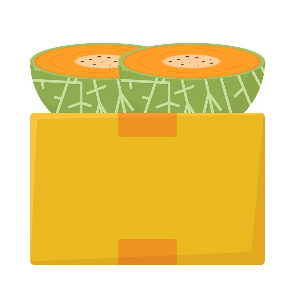 Cantaloup-Melone im Box Illustration vektor