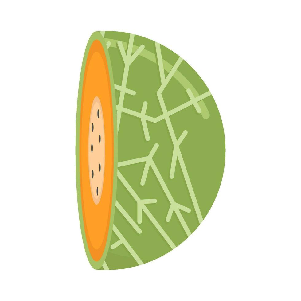 Cantaloup-Melone Scheibe Illustration vektor