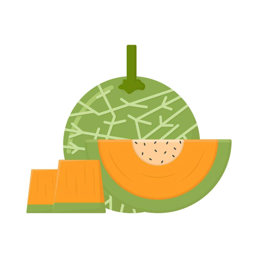 Cantaloup-Melone mit Cantaloup-Melone Scheibe Illustration vektor