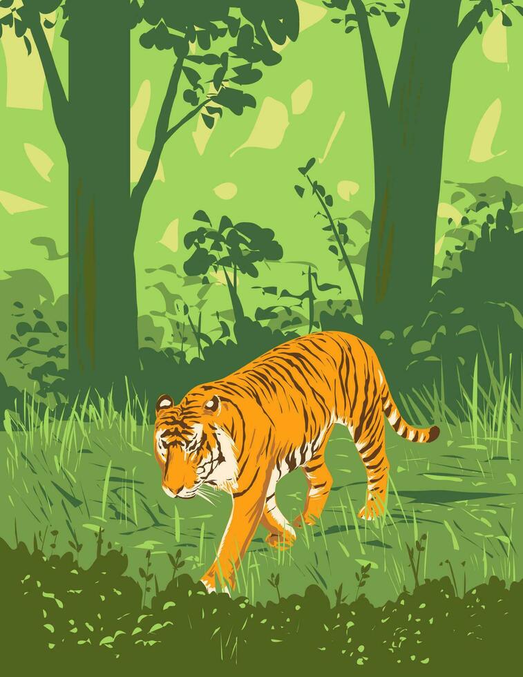 bengal tiger i Kanha tiger boka madhya pradesh Indien konst deco wpa affisch konst vektor