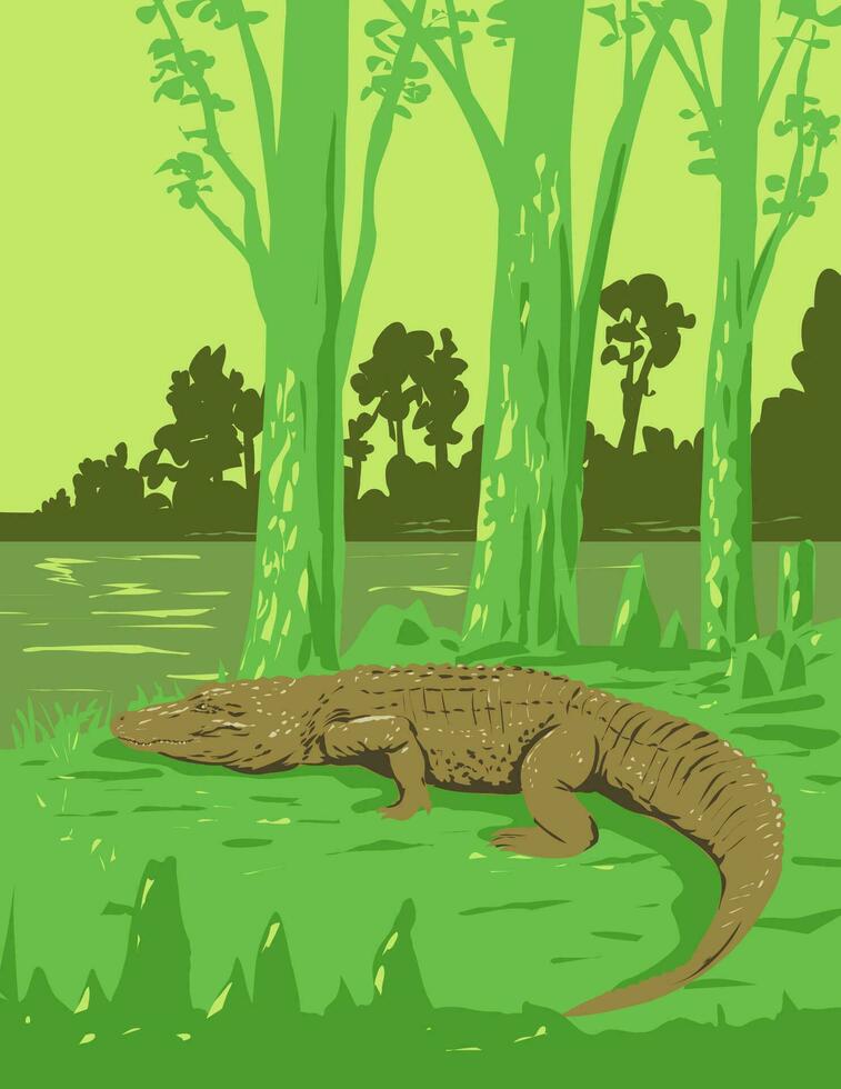 Alligator im Jean lafitte National historisch Park und erhalten Louisiana USA Kunst Deko wpa Poster Kunst vektor