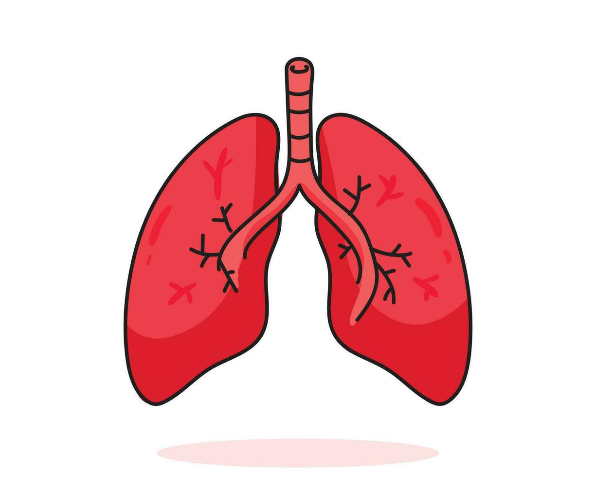 Lunge menschliche Anatomie Biologie Organ Körpersystem Gesundheitswesen und medizinische handgezeichnete Cartoon-Kunstillustration vektor