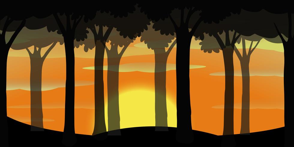 Silhuett scen av skog vid solnedgången vektor