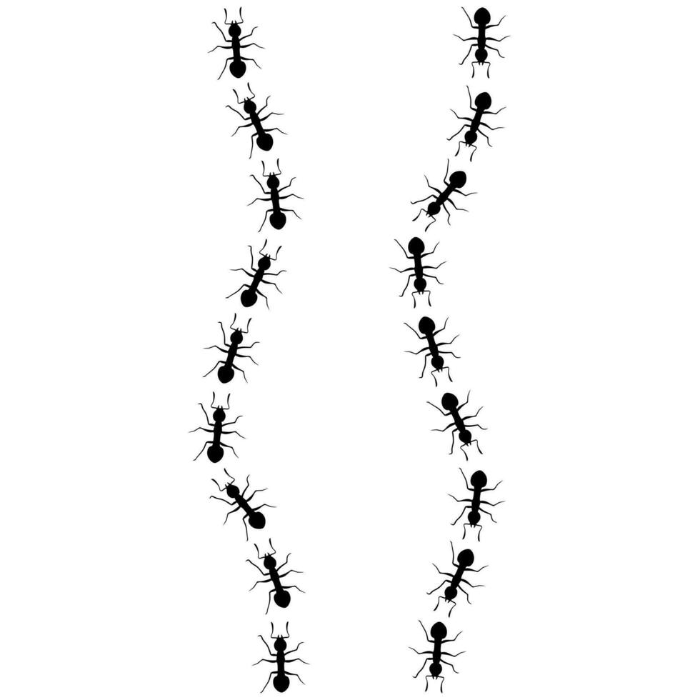 Vektor Ameisen gehen im ein Reihe im zwei anders Richtungen. Ameise Kolonie Silhouette auf Weiß Hintergrund. schwer Arbeiter Konzept