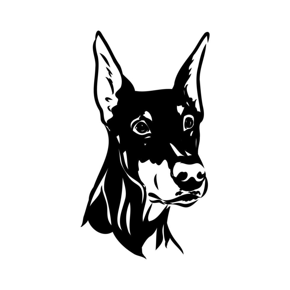 doberman hund vektor skiss