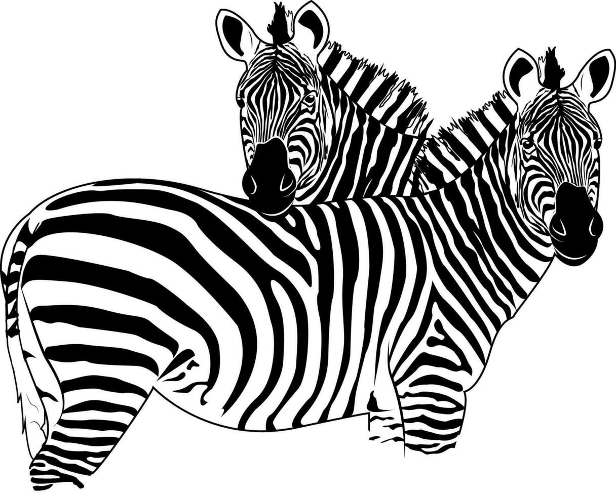 zebra. randig häst, afrikansk savann djur, randig hud, linjär mönster. vild djur, söt karaktär. design av hälsning kort, affischer, plåster, grafik på kläder, emblem. seth. vektor