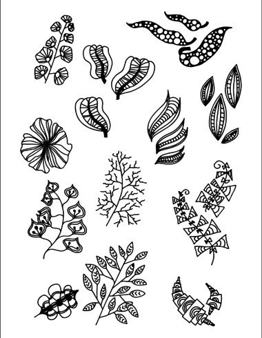 Set of Doodle Leaves hand rita vektor