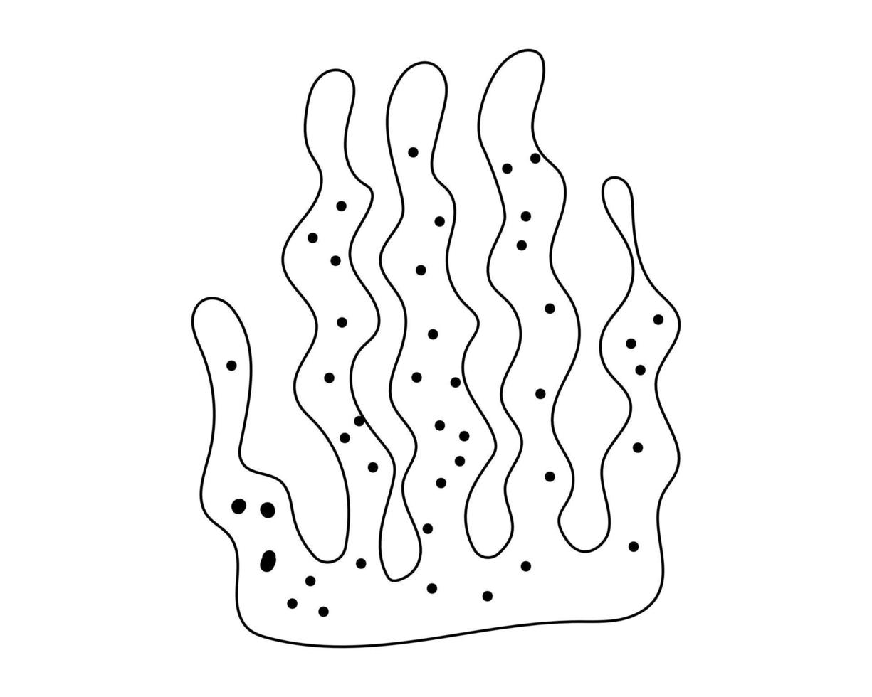 Koralle im Doodle-Stil mit schwarzem Umriss gezeichnet vektor