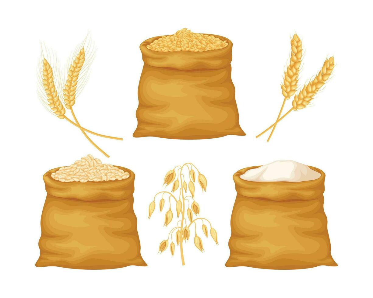 vete, havre och korn. vete och havre korn i stor påsar. mjöl från spannmål. en väska av mjöl och öron av spannmål. vektor illustration