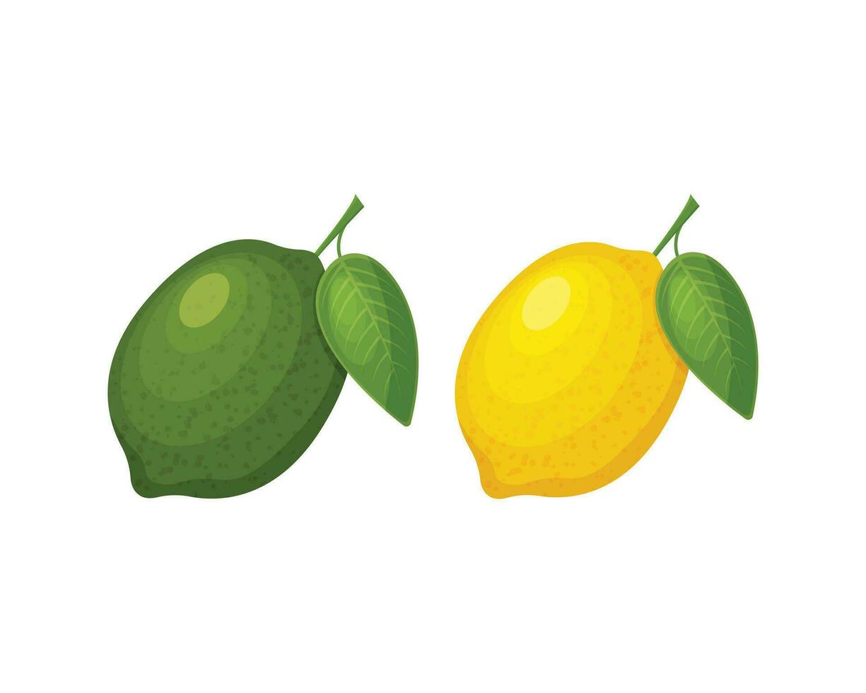 citron- och kalk. citrus- tropisk frukter. citron- och kalk med grön löv. vektor illustration isolerat på en vit bakgrund