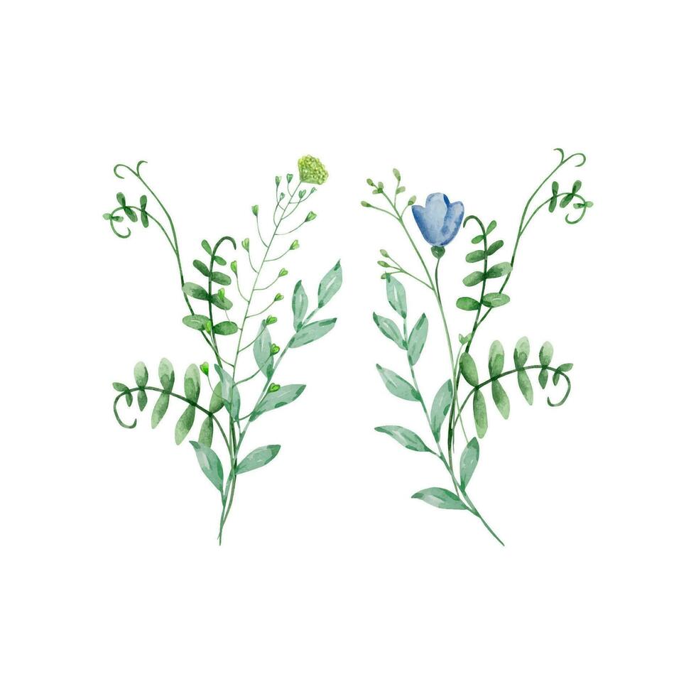 Aquarell Strauß von Wildblumen, Illustration zum Karten und Einladungen vektor