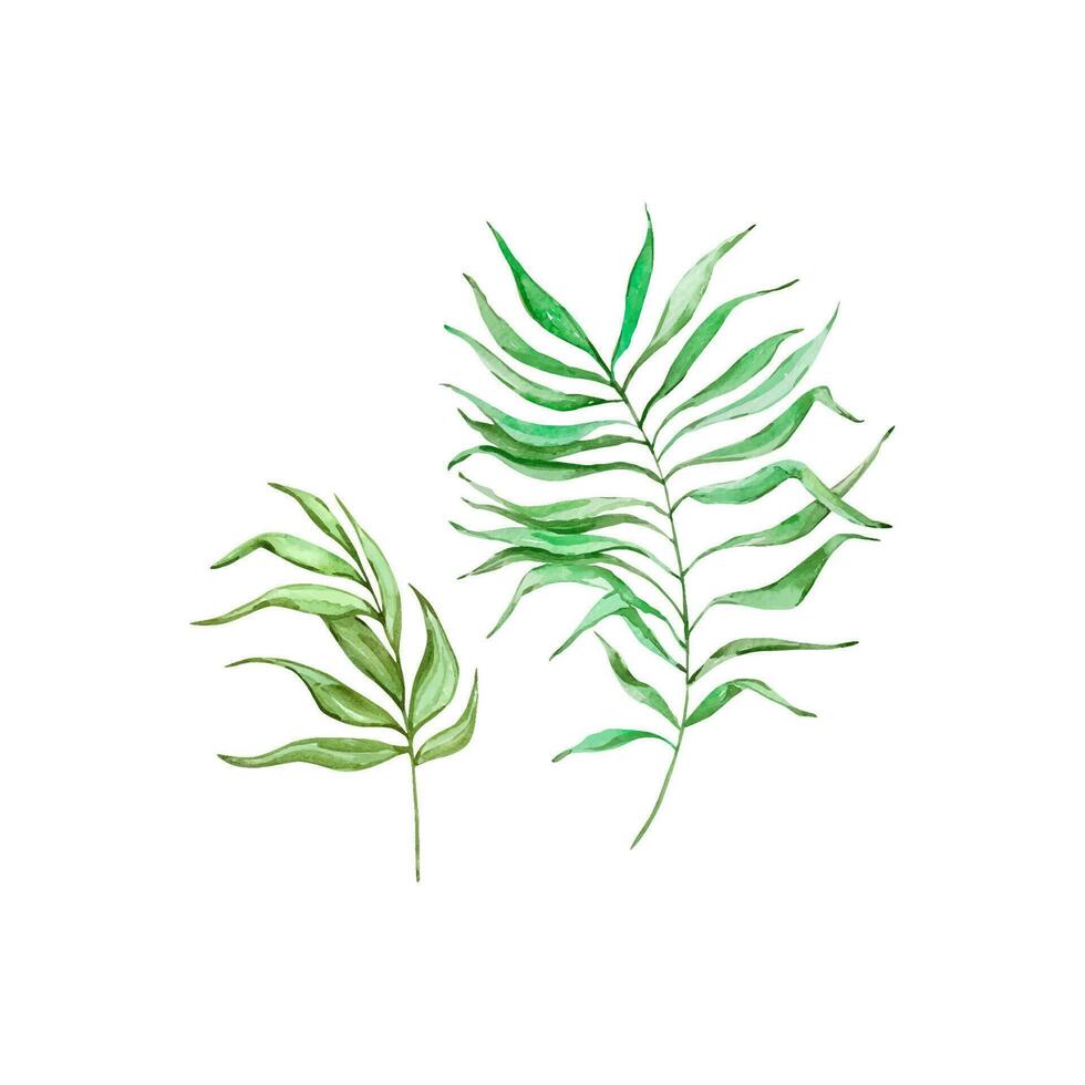 Aquarell hell Grün tropisch Blätter, zum Sommer- Designs vektor