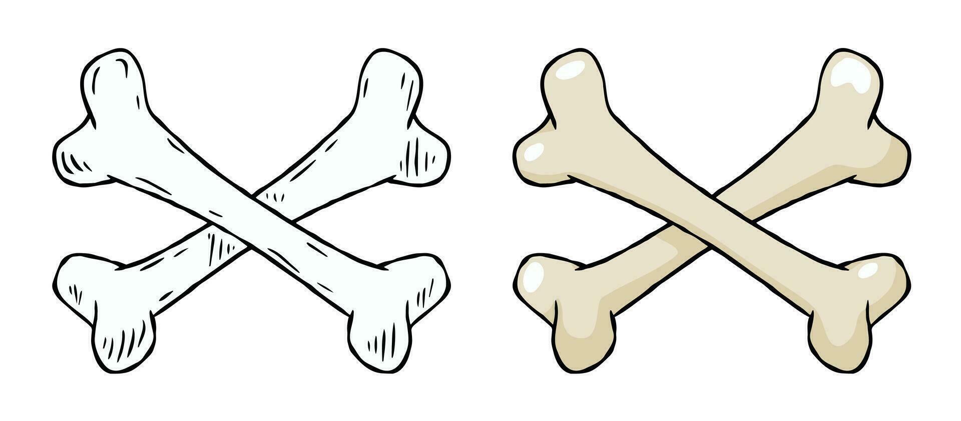 einstellen von Knochen. Teil von das Mensch Skelett. Weiß Hund Spielzeug. Vektor Karikatur und eben Illustration