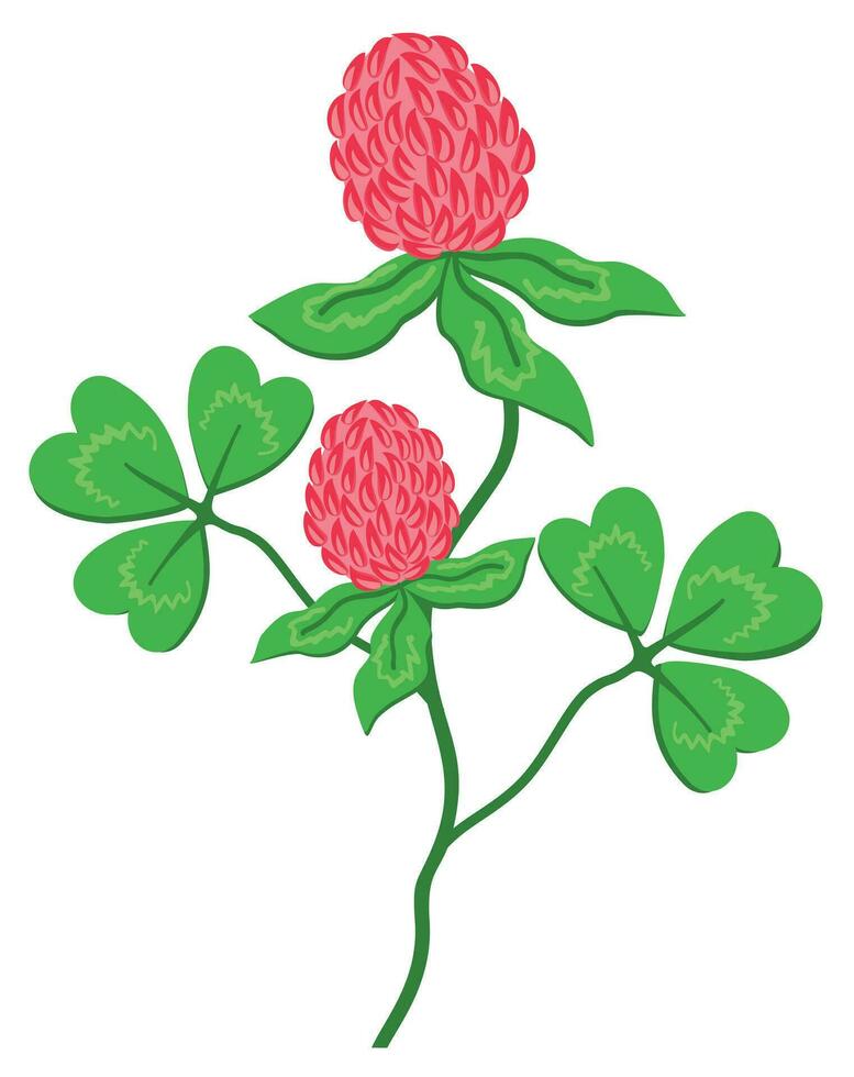 Rosa Kleeblatt mit Blätter. hell Blumen- isoliert Illustration vektor