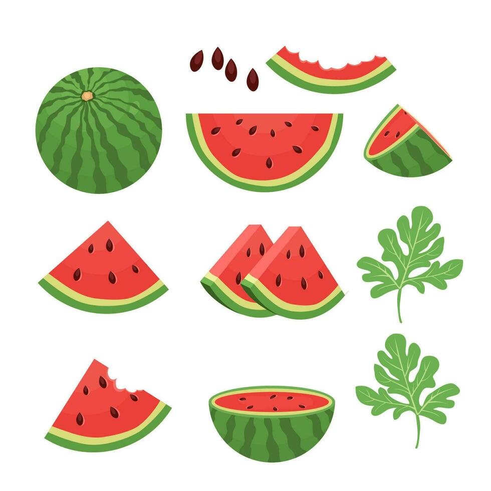 Illustration Vektor Grafik von Wassermelone Früchte. einstellen von Wassermelone ganze und Scheibe gut zum Essen Produkt.