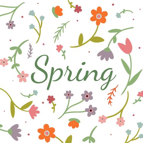 Netter Blumenhintergrund zur Frühlings-Jahreszeit vektor