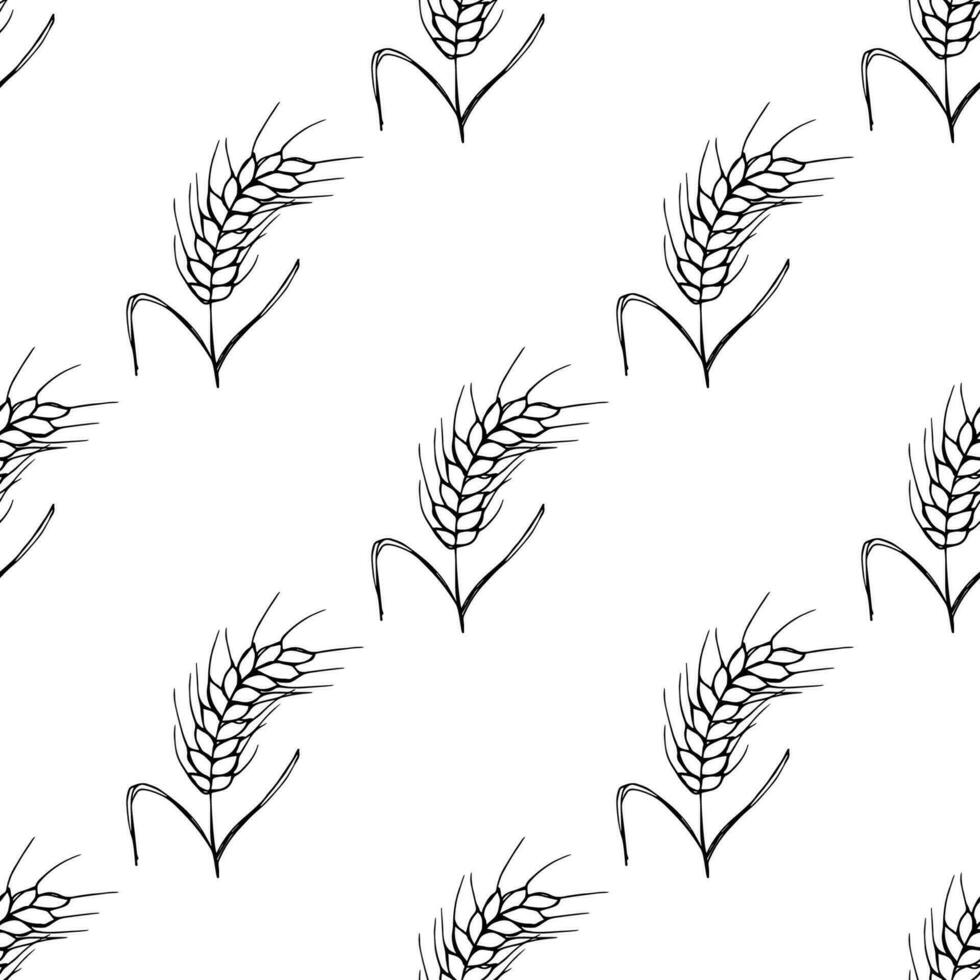 nahtlos Muster mit Weizen Gekritzel zum dekorativ drucken, Verpackung Papier, Gruß Karten, Hintergrund und Stoff vektor
