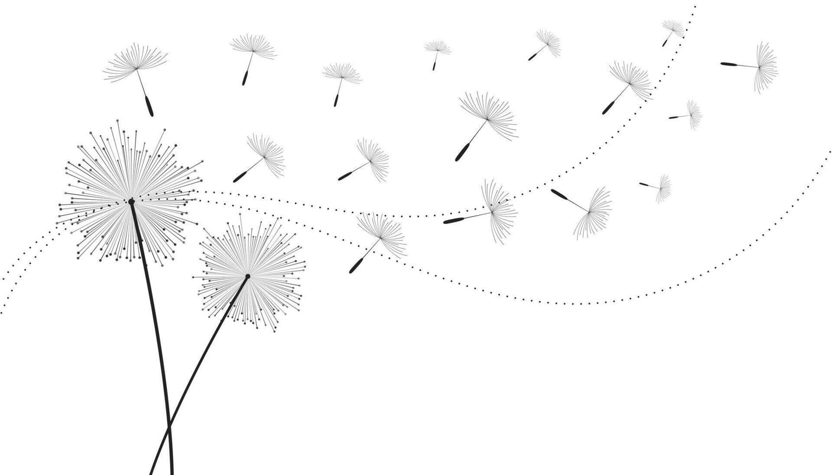 fliegend Löwenzahn Saat Blume Hintergrund vektor