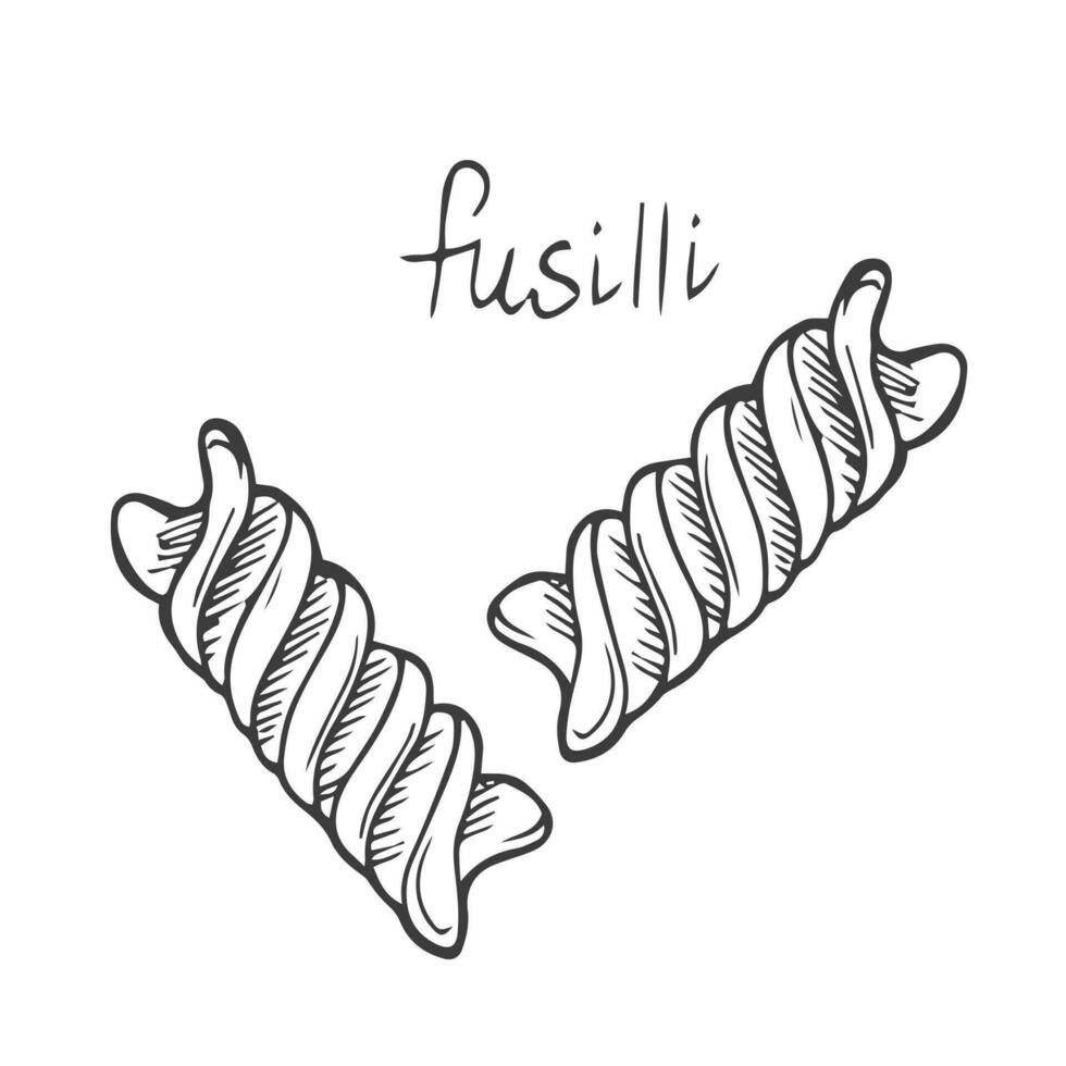 pasta fusilli skiss. italiensk mat vektor illustration. årgång hand dragen klotter stil. svart linje matlagning ikon, isolerat vit bakgrund. organisk pasta fusilli, korkskruv form graverat grafisk konst