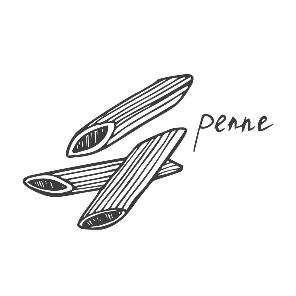 hand dragen skiss illustration av pasta penne isolerat på vit vektor