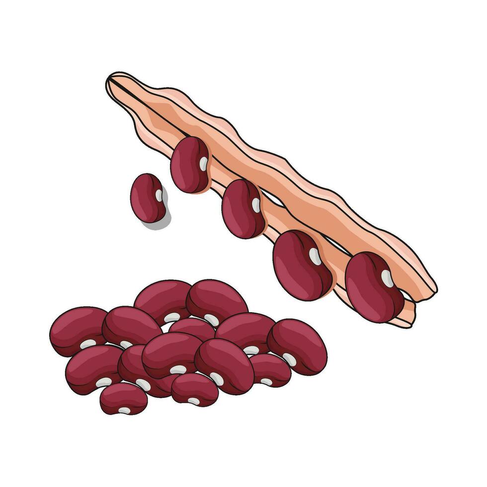 illustration av röd böna vektor