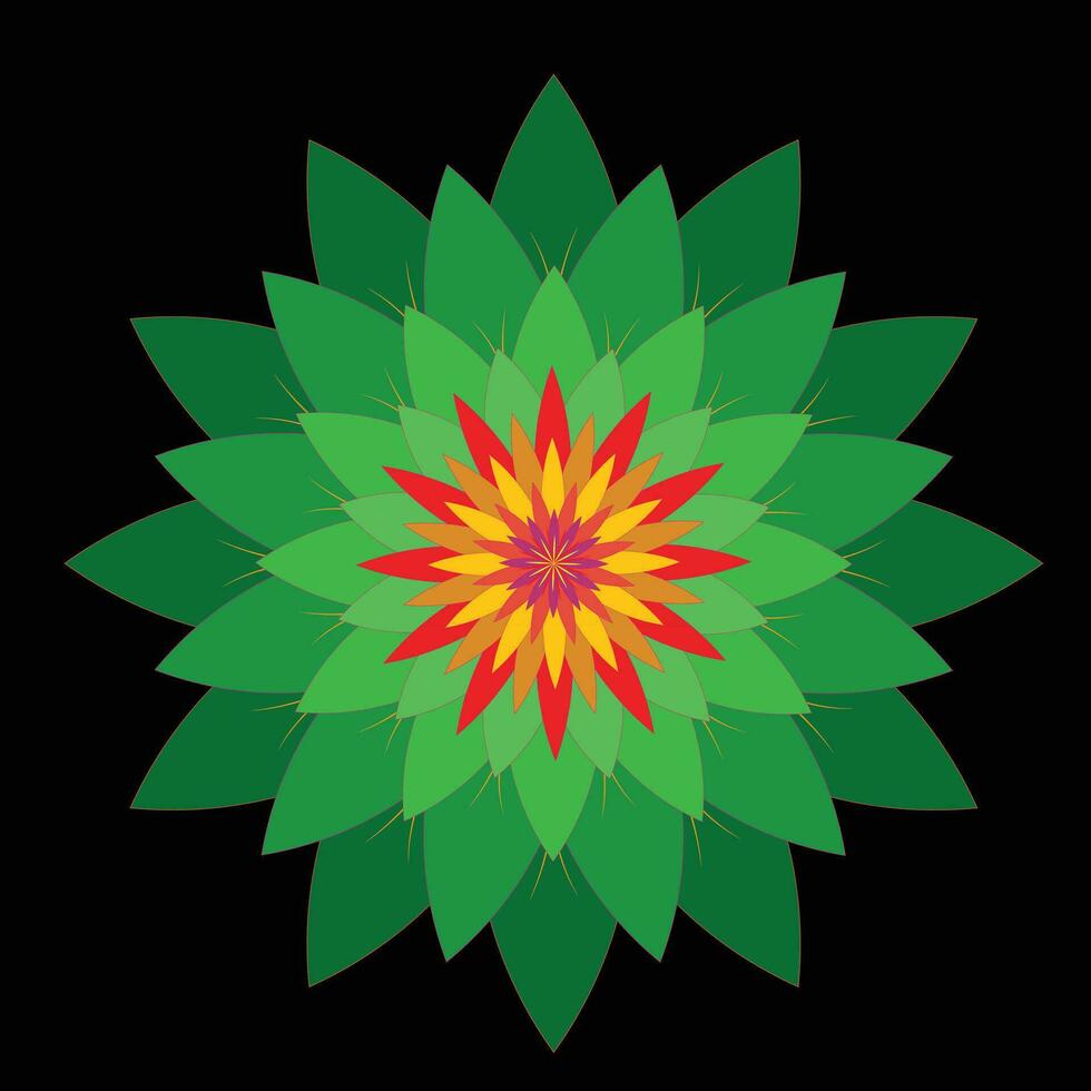 bunt Blume Mandala Design einstellen vektor